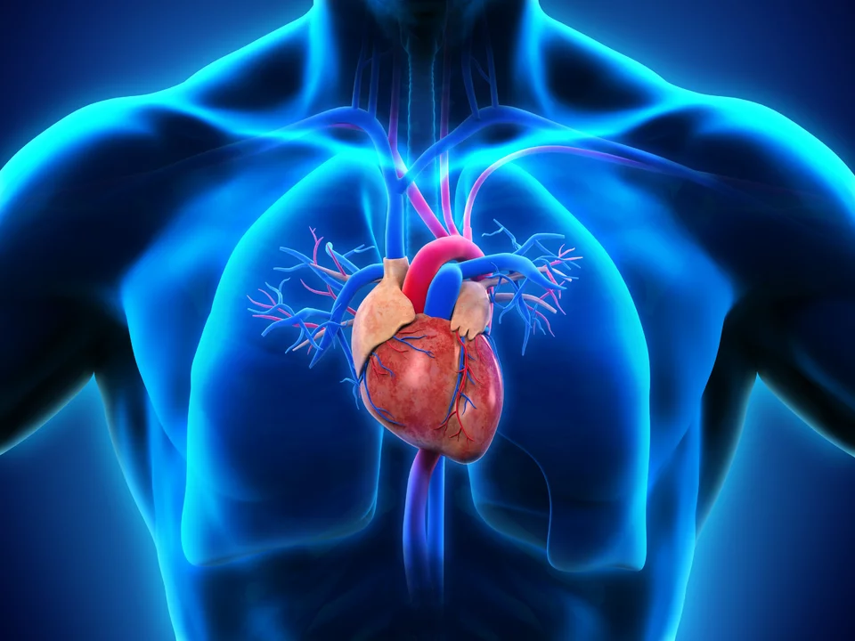 Cefixime and the heart: understanding potential cardiovascular effects